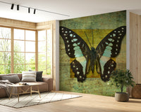 Gilded Butterfly wallpaper presenting symmetrical wing patterns in teal and black