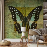 Gilded Butterfly wallpaper displaying classic botanical print aesthetic for living room