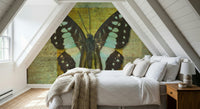 Vintage Gilded Butterfly wall mural with golden square overlay and grunge details