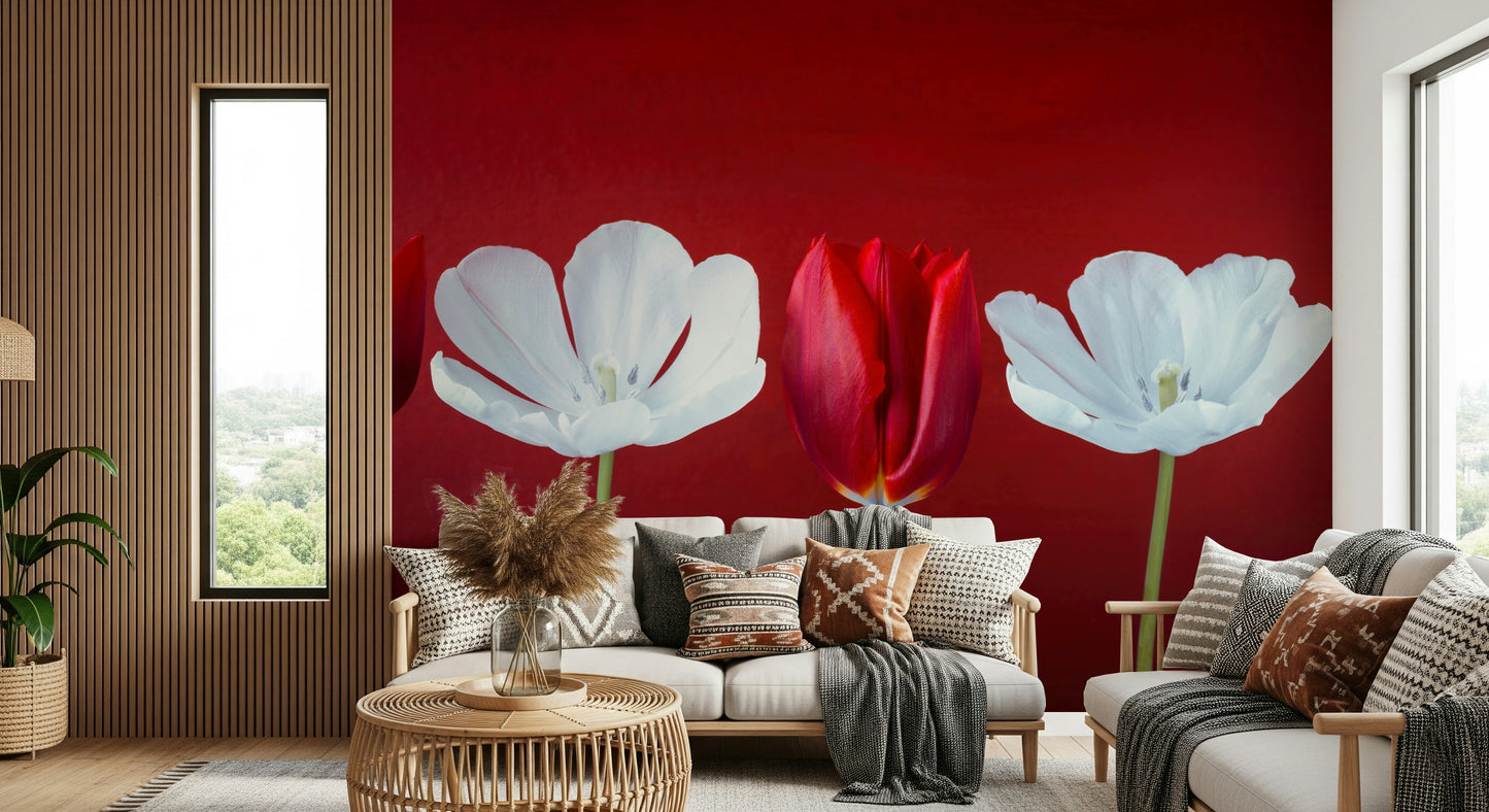 Tulips in a row Wall Mural