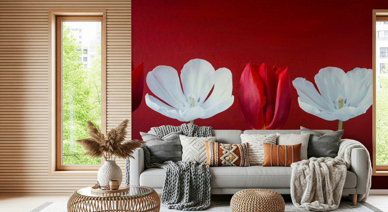 Tulips in a row Wall Mural