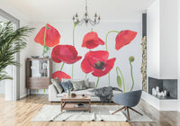 Crimson Poppy Field wall mural illustrating wild flora growth and unopened pods.