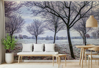 Minimalist aesthetic, frozen daybreak, Whispering Winter Fields wall mural 