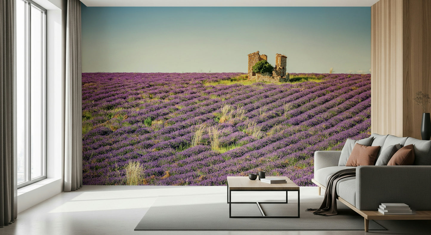 Lavender Field Sunset Wall Mural