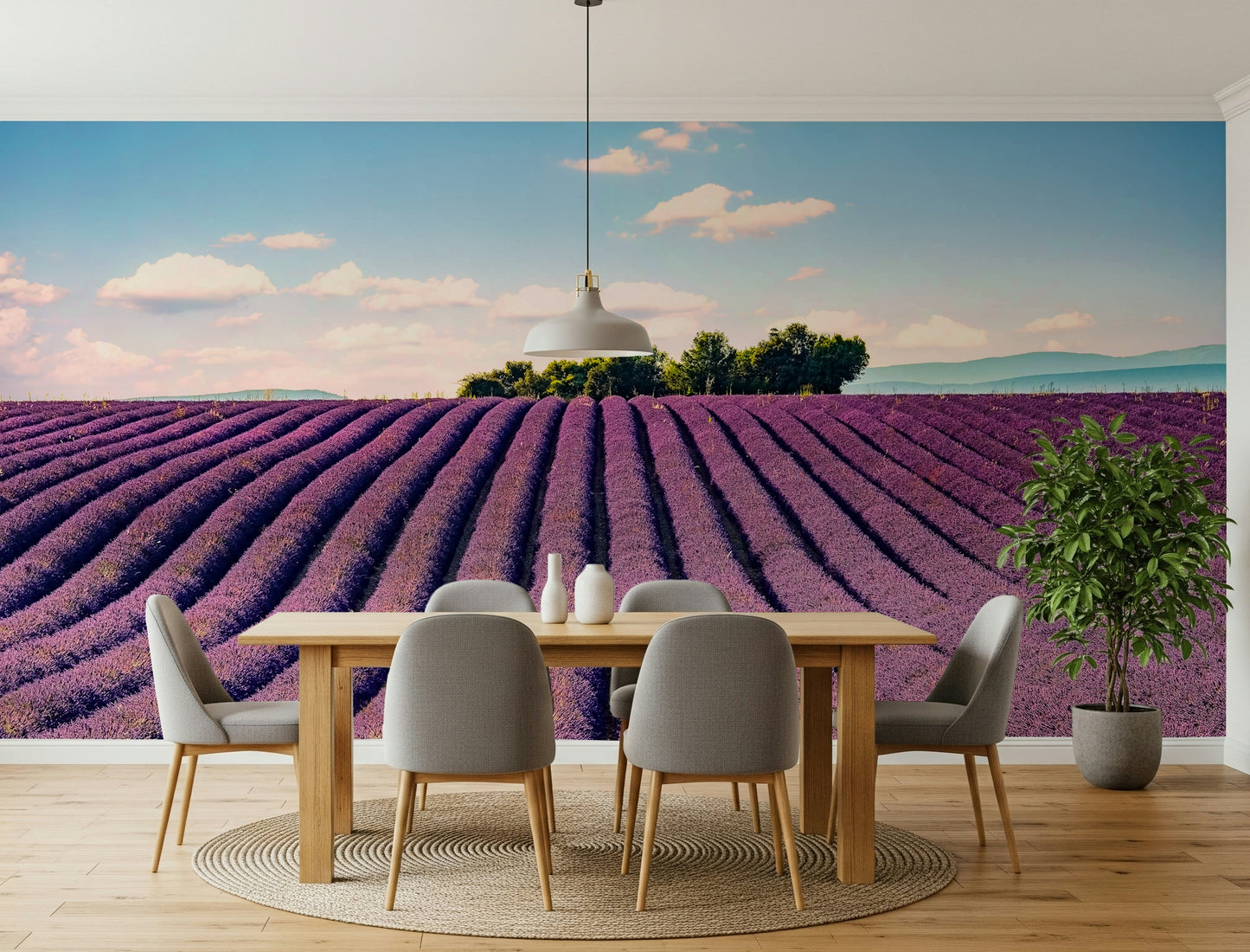 Provence's Purple Haze Wall Mural