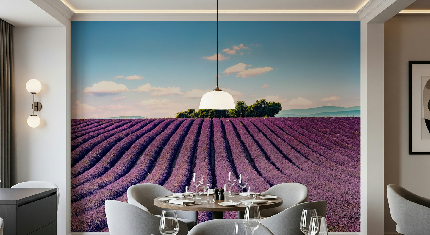 Provence's Purple Haze Wall Mural