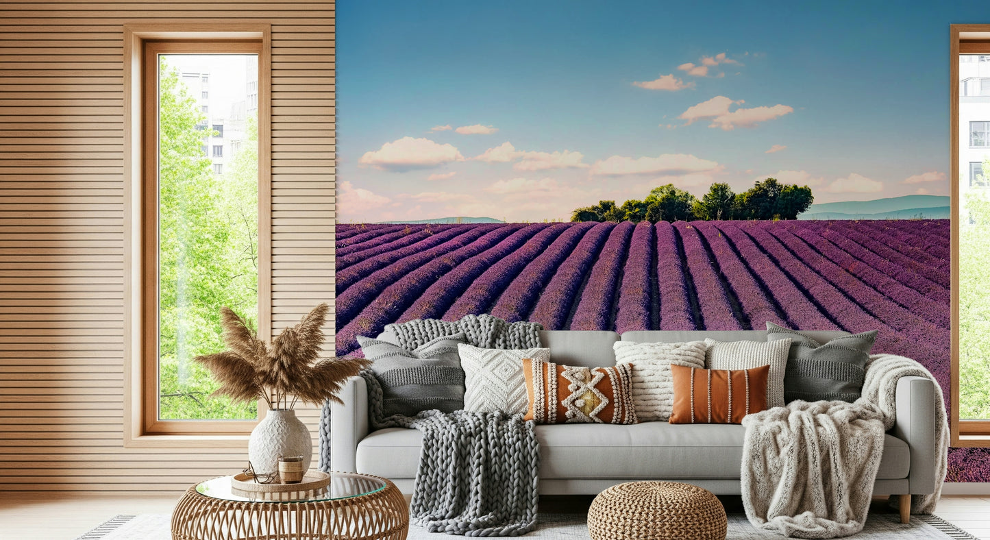 Provence's Purple Haze Wall Mural