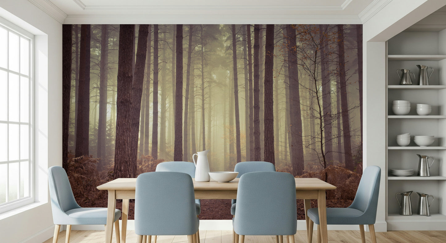 Enigmatic Beauty of Forest Wall Mural