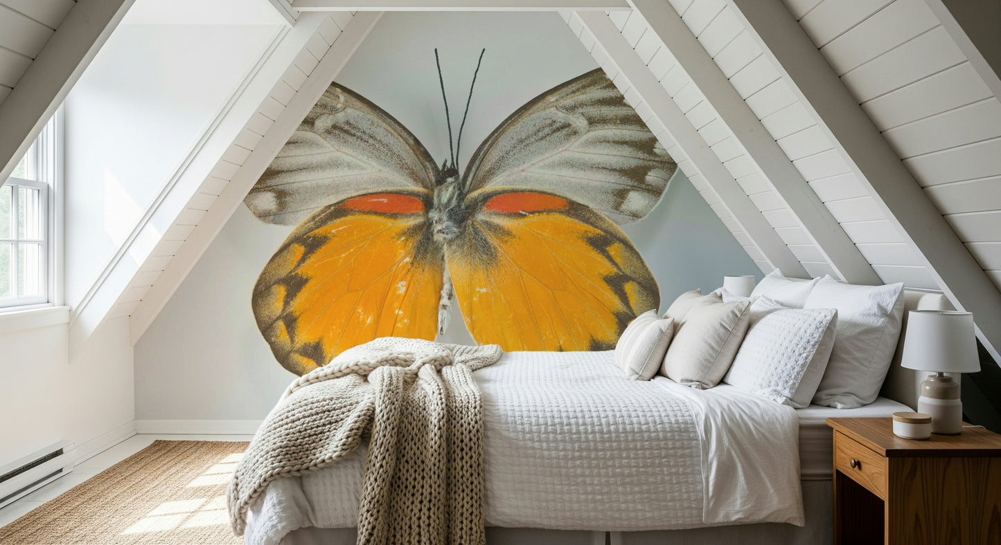 Whimsical Butterfly Wall Mural