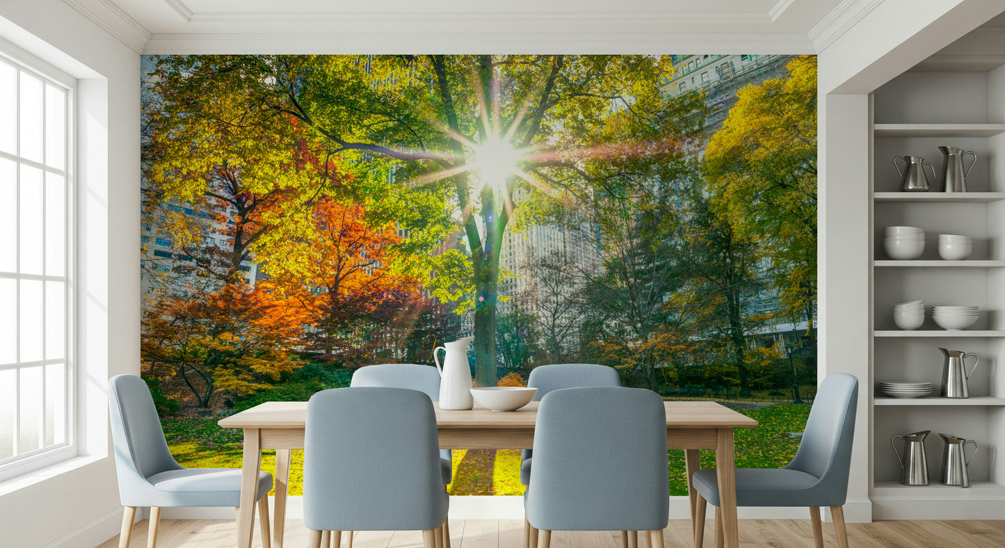 Sun Rays Through Trees Wall Mural
