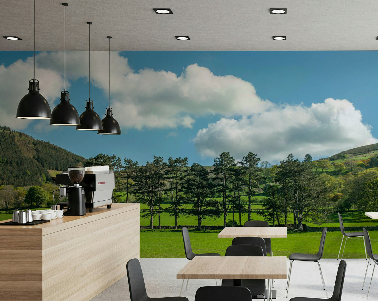Countryside Meadow Wall Mural