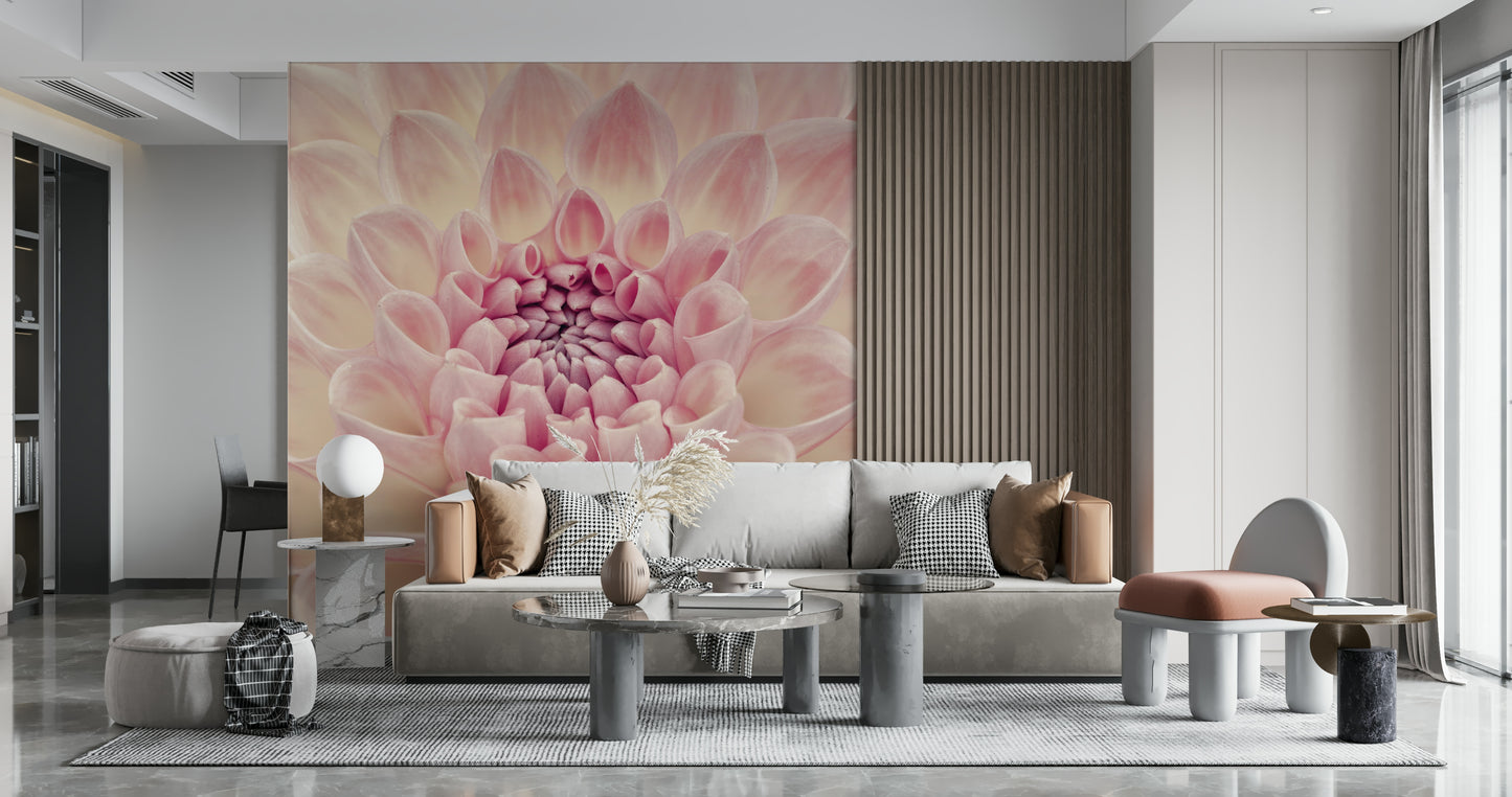Blush Bloom Wall Mural