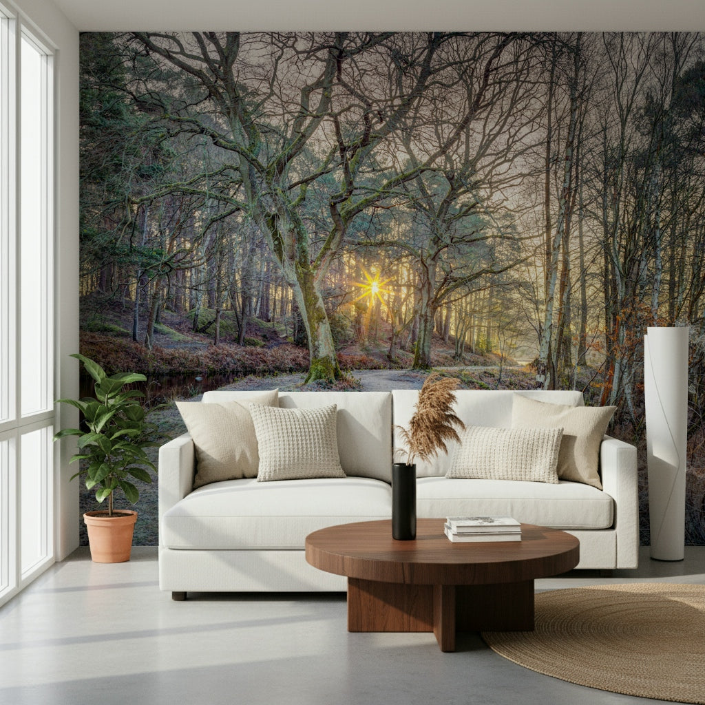 Misty Woodland Glare Wall Mural