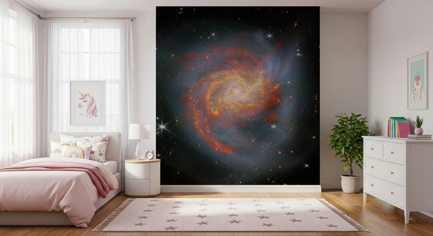 Peinture murale sur toile Stellar