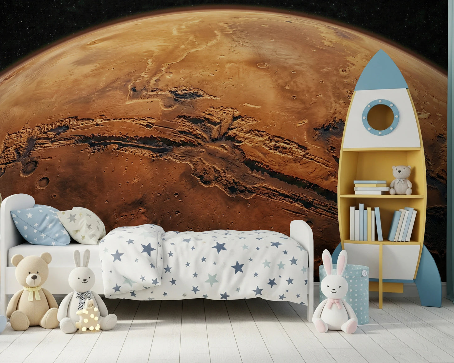 Fresque murale « Vue martienne »