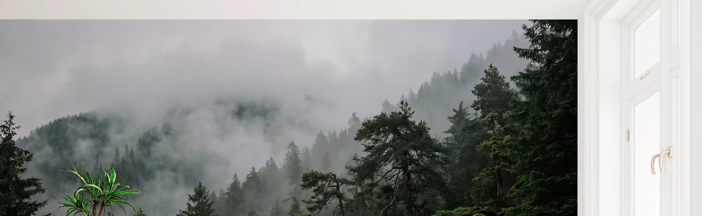 Fresque murale Forêt brumeuse