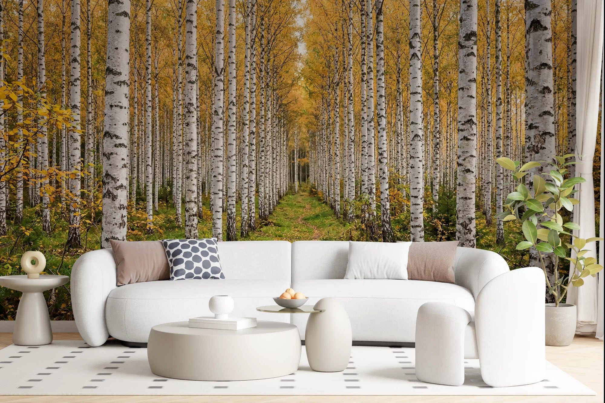 Autumnal Birch wall mural in a bright modern living room