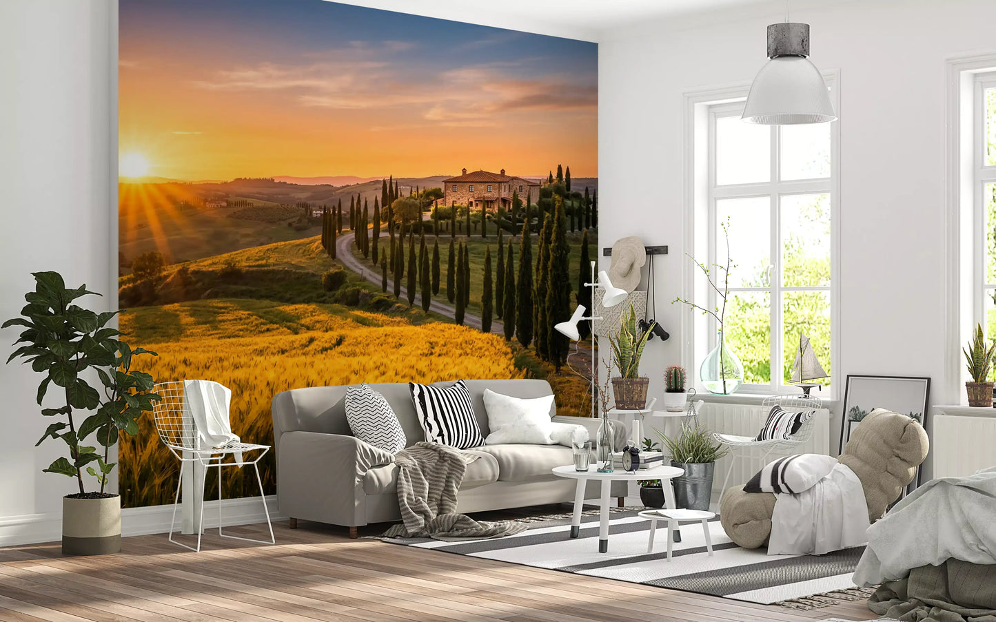 Tuscan Golden Hour: Cypress Path Wall Mural