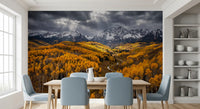 Dining room wall mural capturing golden aspens and winding mountain valley depth view