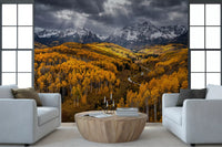 Living room wall mural with sunlit valley forest and alpine peak contrast details