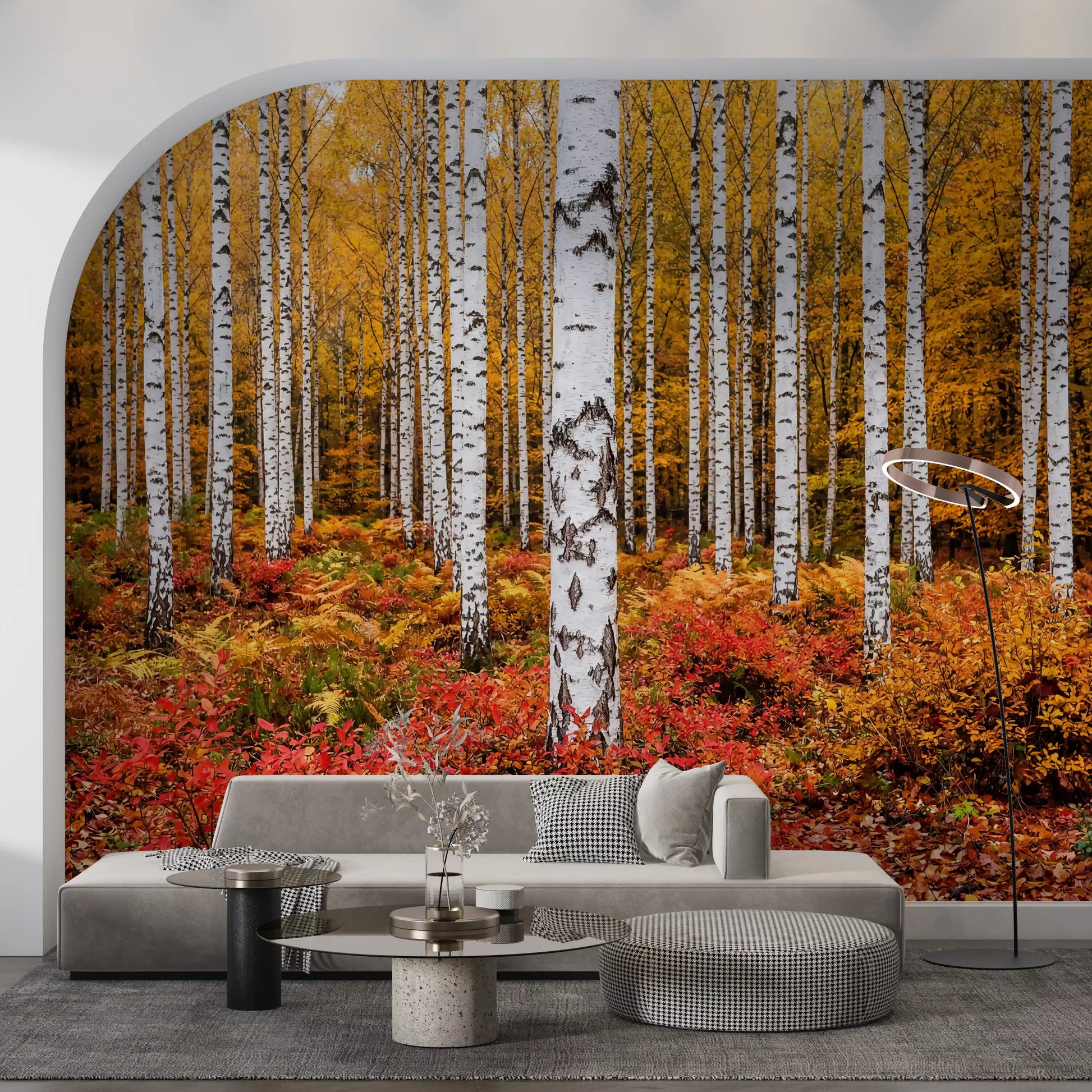 Hallway wall mural with white birch trees and colourful autumn woodland depth view