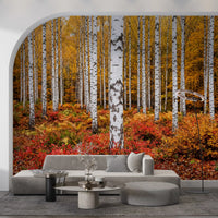 Hallway wall mural with white birch trees and colourful autumn woodland depth view