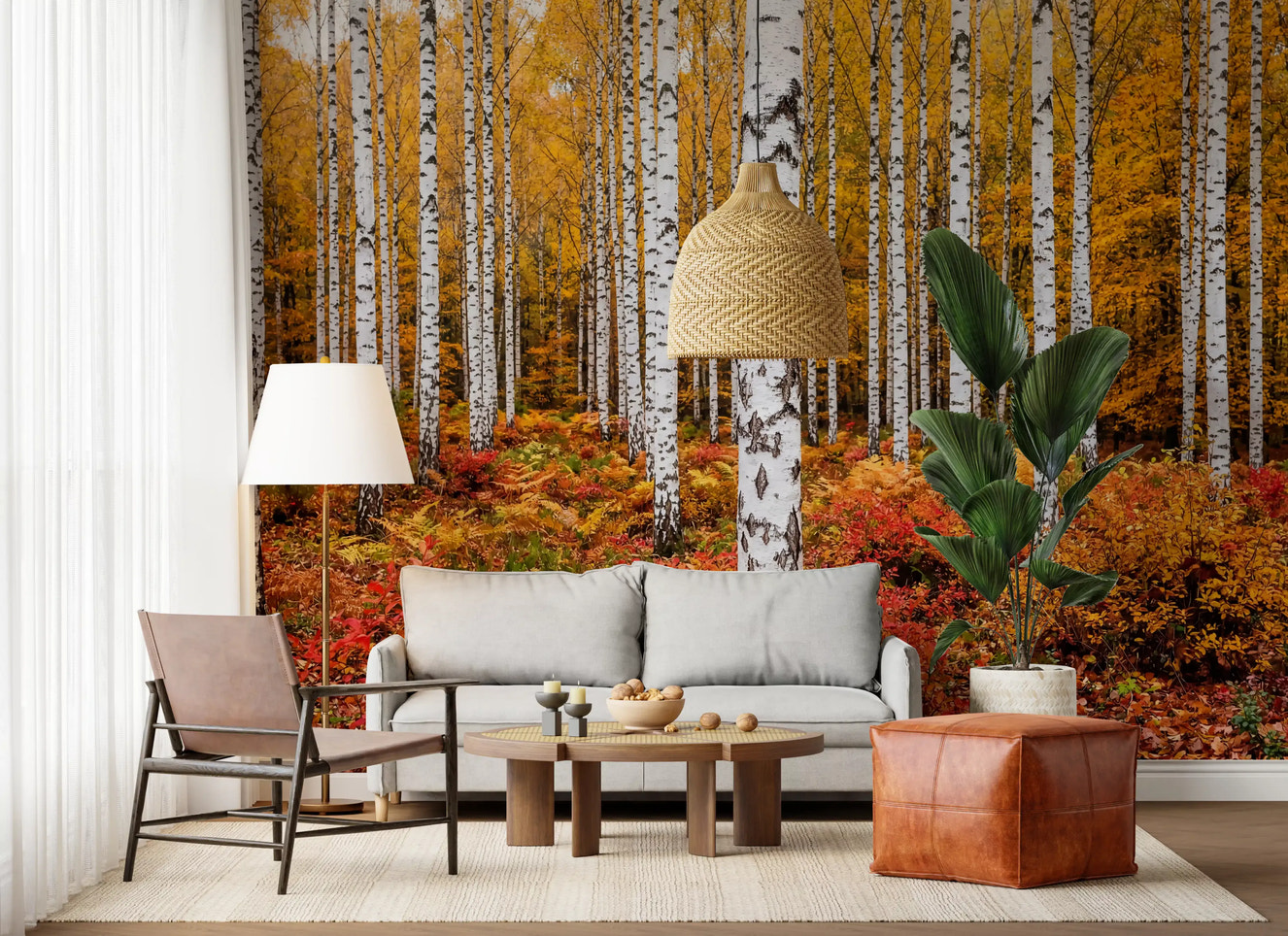 Vibrant Autumn Birches Wall Mural