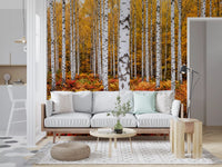 Hallway wall mural with vibrant birch forest and layered fall undergrowth detail