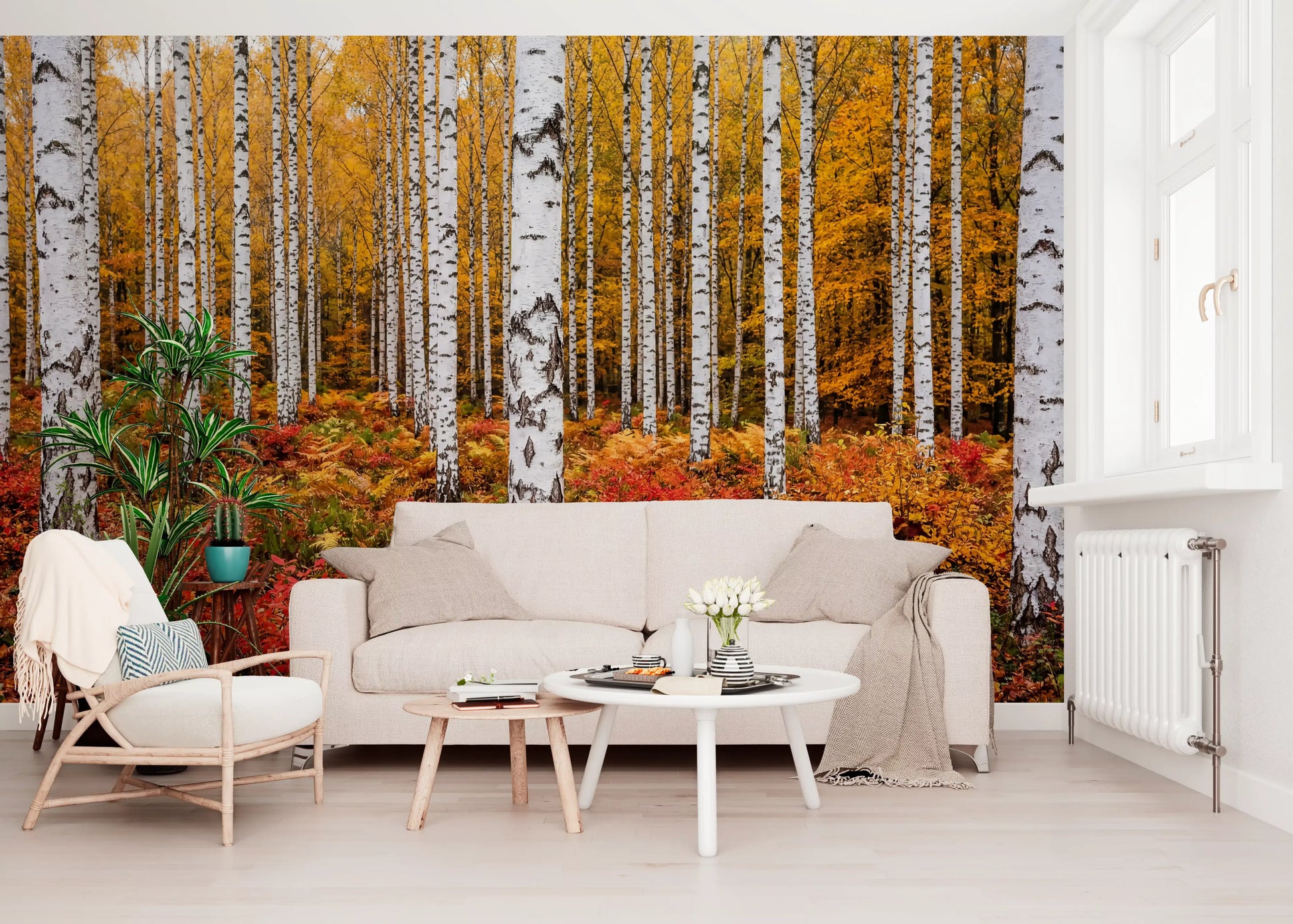 Lounge area wall mural featuring vibrant birches and fiery foliage texture layers
