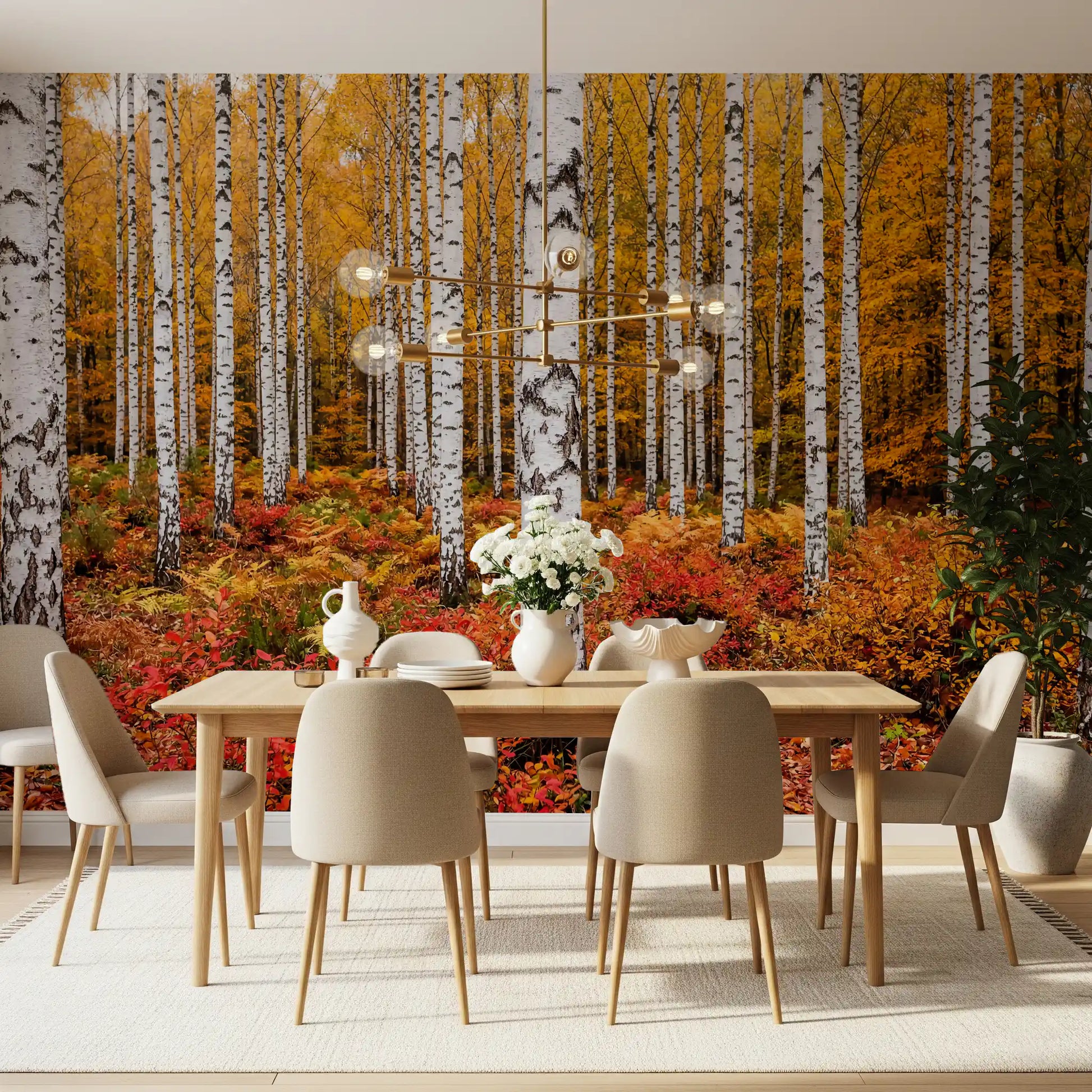 Dining room area wall mural featuring golden birch grove and rich autumn leaf color layers