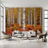 Reception Sofa area wall mural with vibrant autumn grove and striking white birch trunks detail