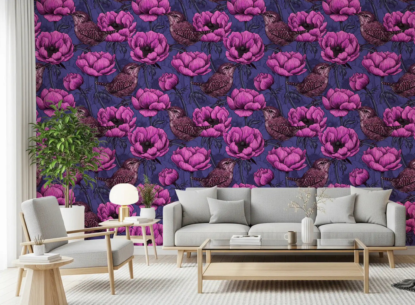 アネモネガーデンのミソサザイ 壁紙