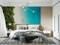 Aerial tropical shoreline wall mural with palm canopy, white sand, and aqua sea