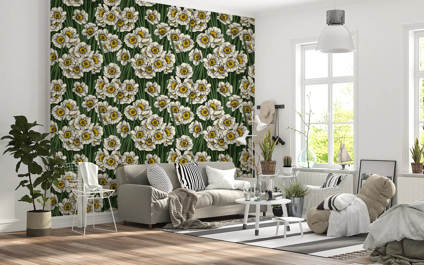 Daffodils Wallpaper⁠