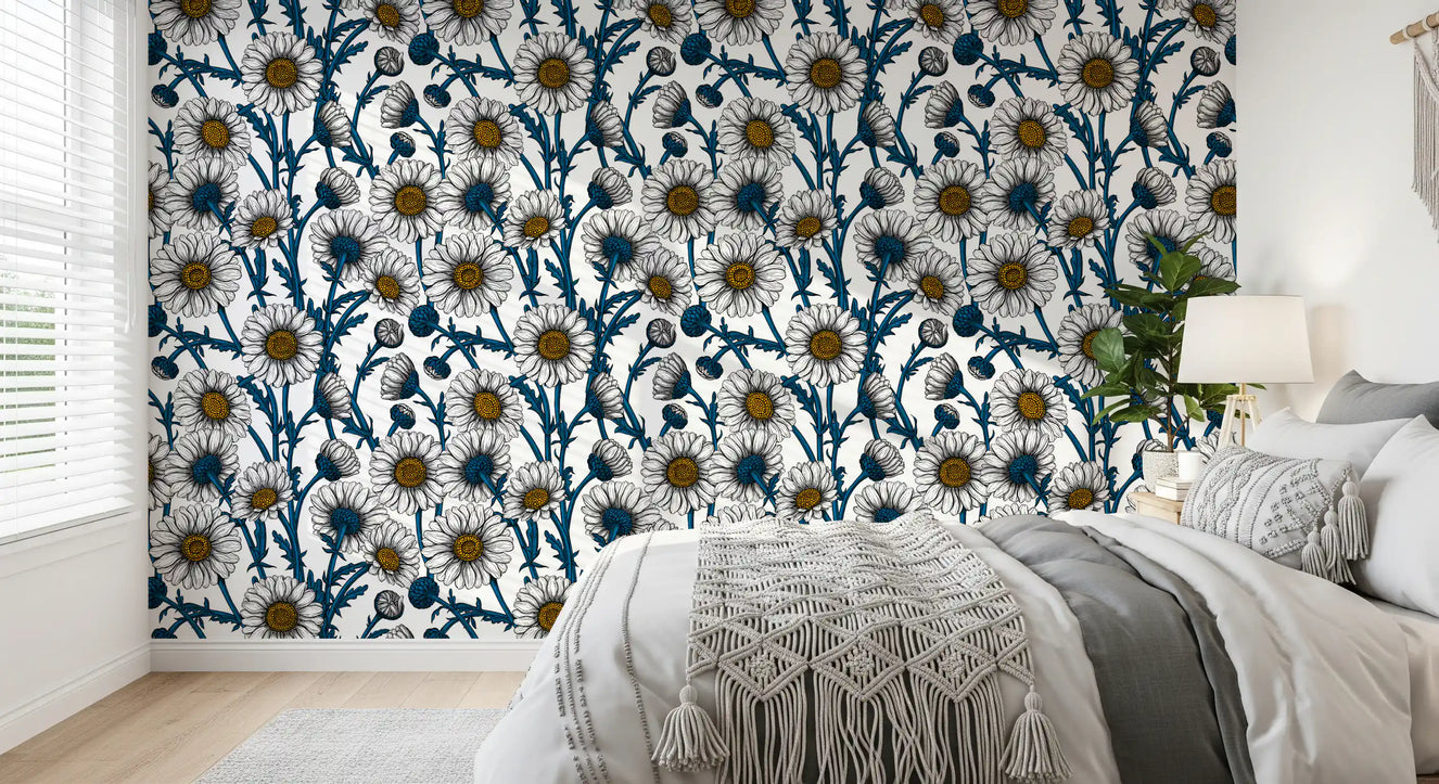 Daisies on white Wallpaper⁠