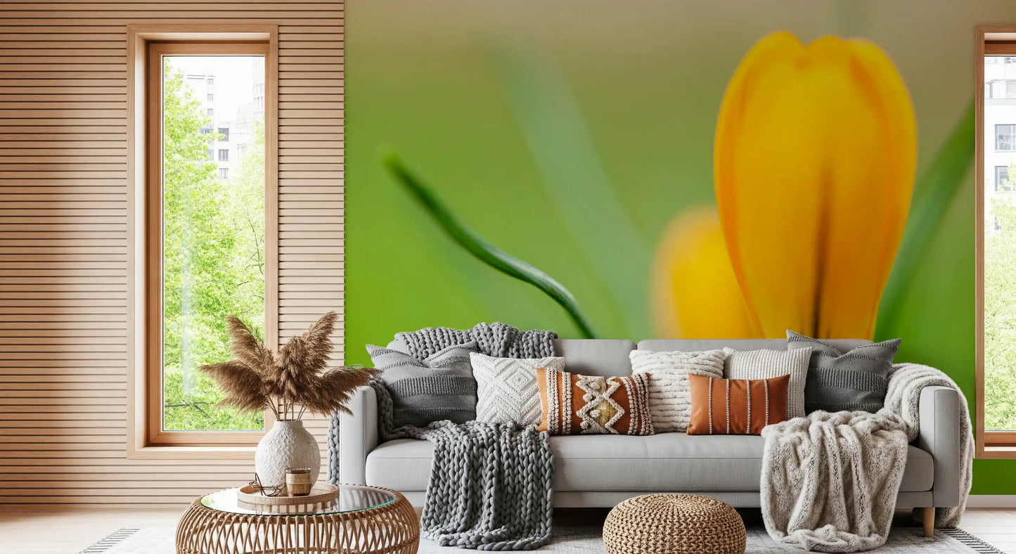 A quiet second bud deepens the spring feel of this Golden Crocus wall mural