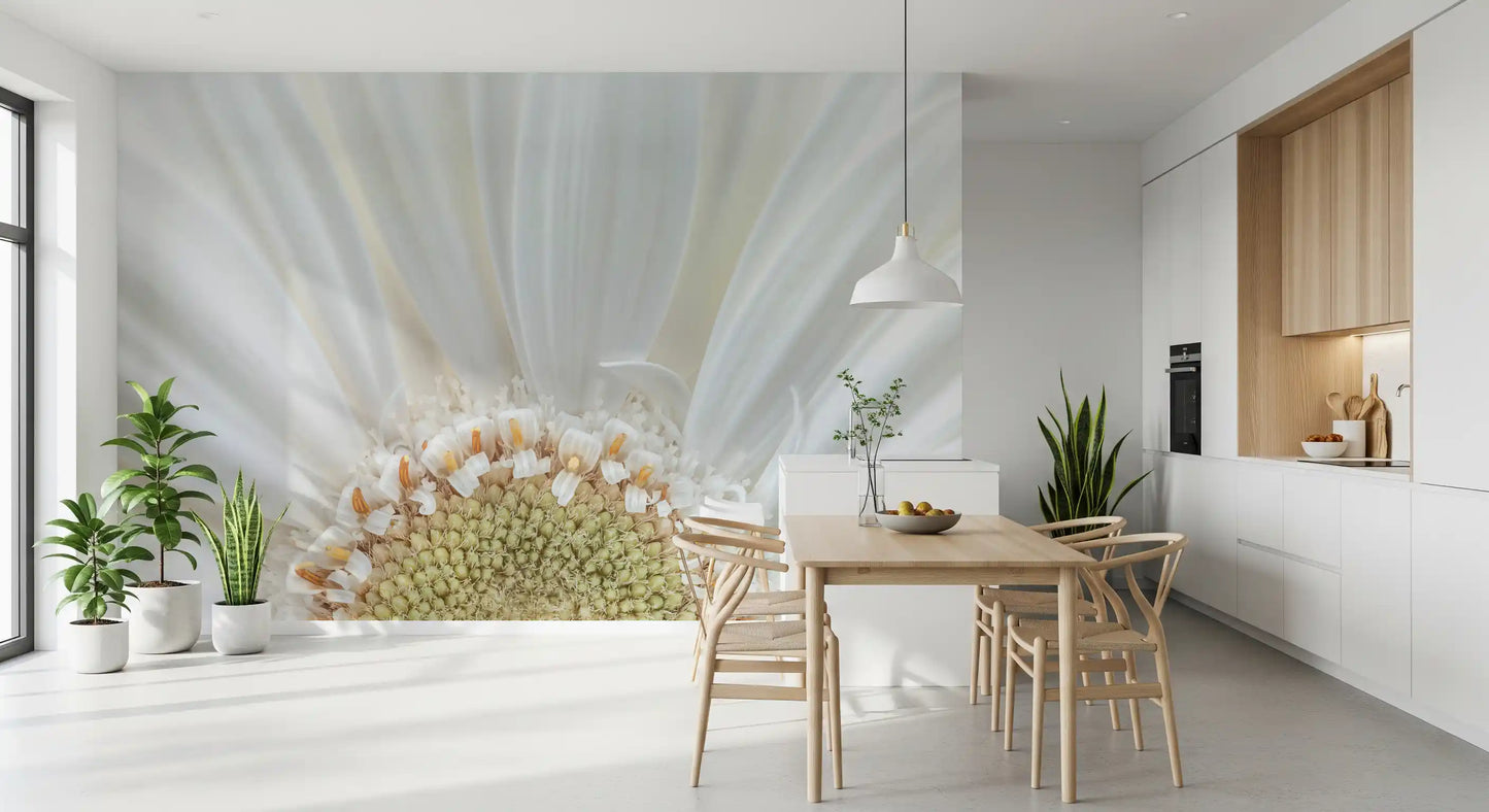 Fine ridges and folds detail every petal on this Petal Radiance wall mural