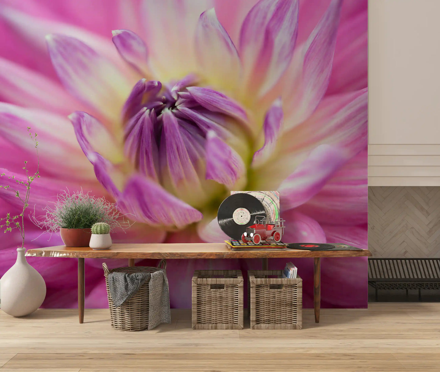 Vibrant Dahlia Blossom Wall Mural