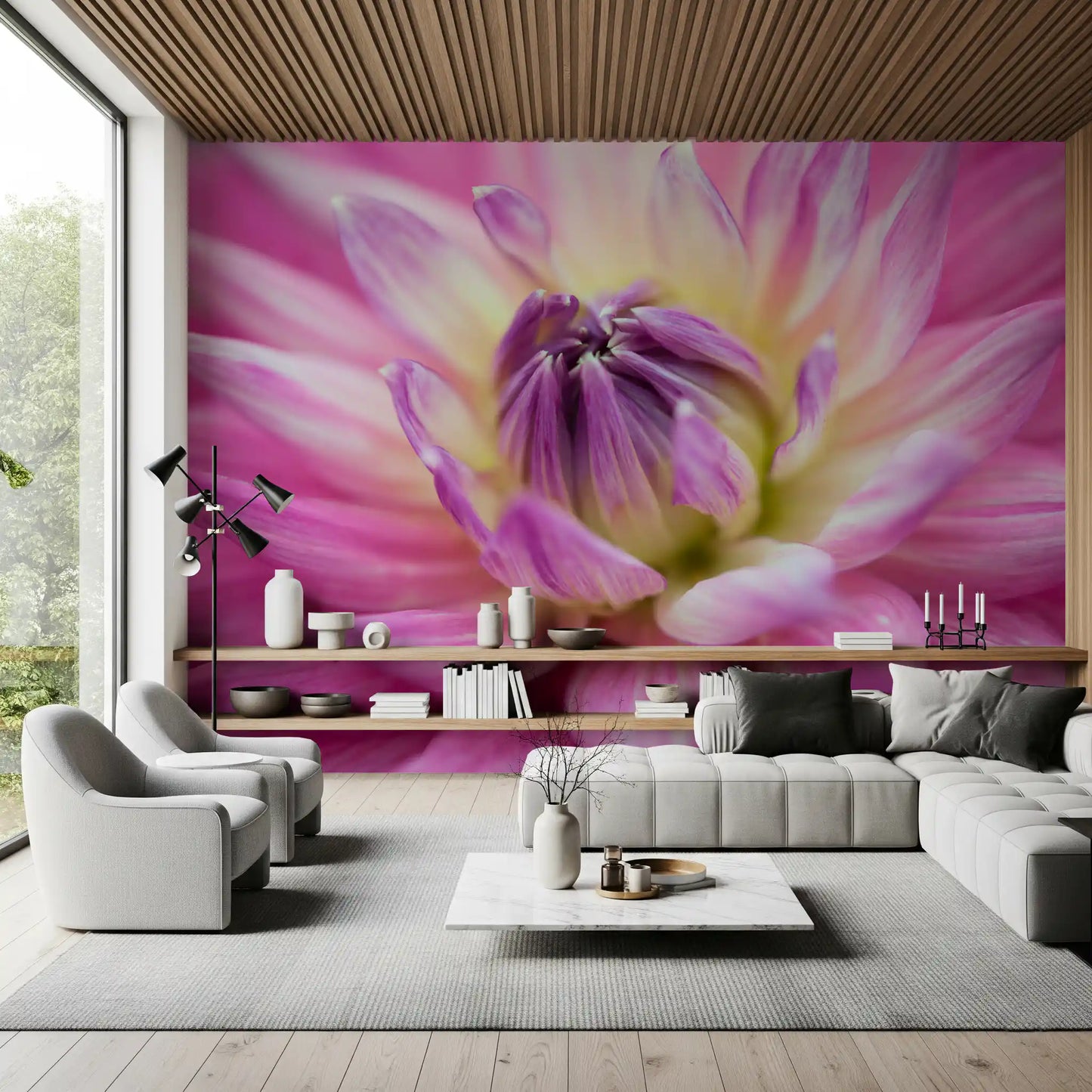 Vibrant Dahlia Blossom Wall Mural