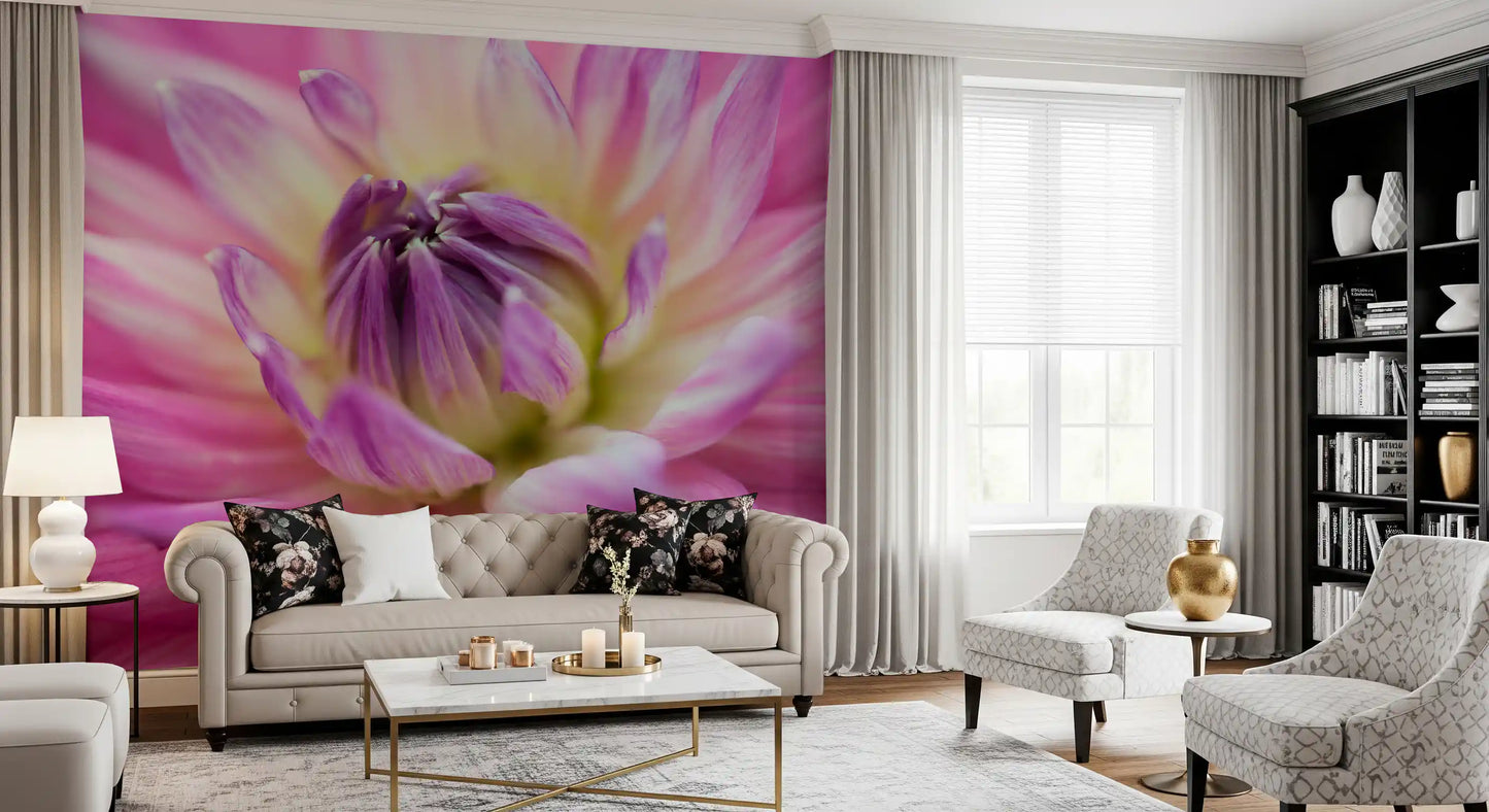 Vibrant Dahlia Blossom Wall Mural