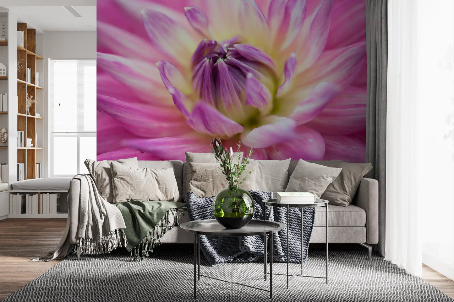Vibrant Dahlia Blossom Wall Mural