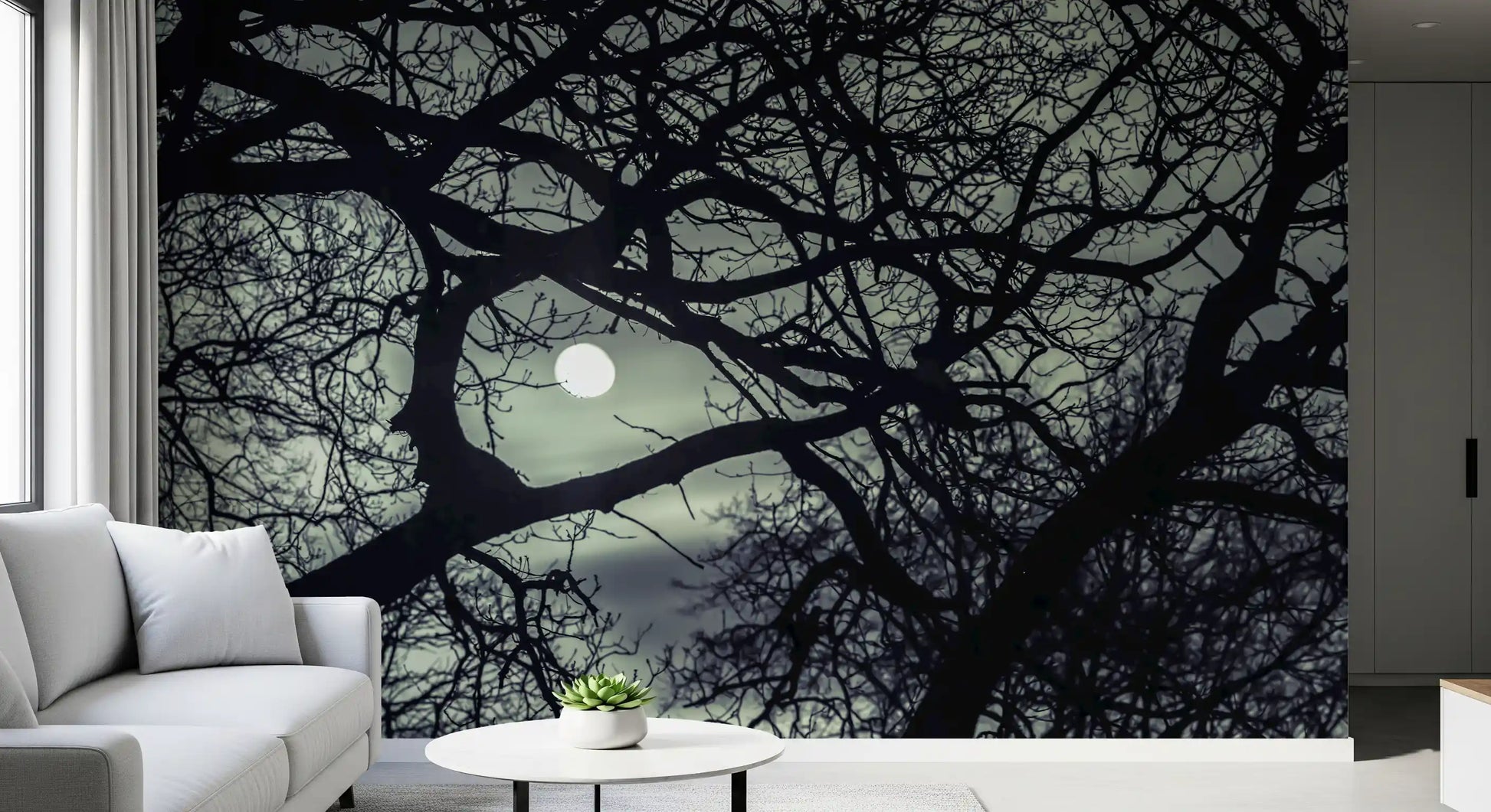 Full moon glow from the Lunar Silhouette Midnight Branches wall mural shades a Hallway.