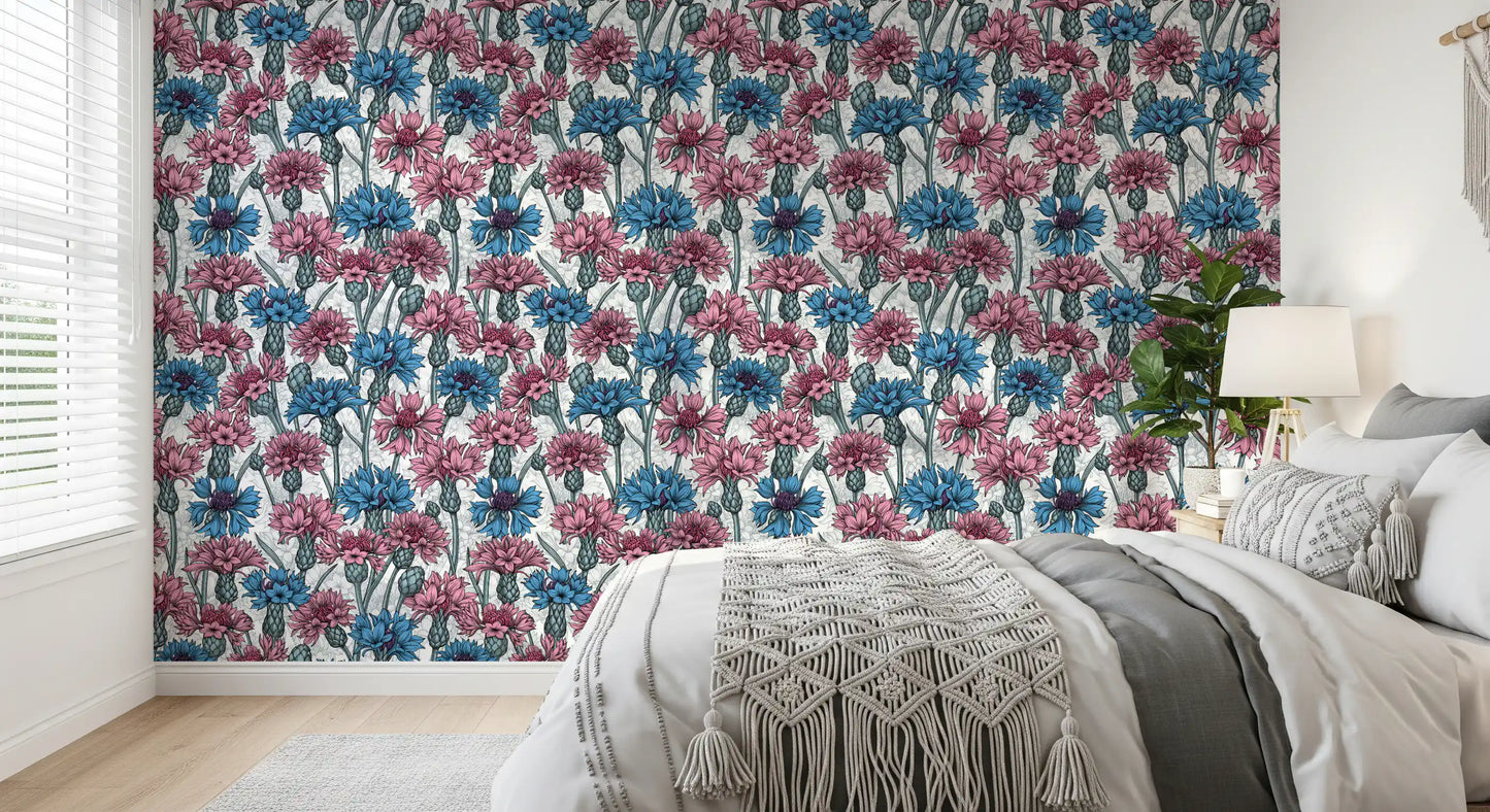 Papel de parede com centáureas cor-de-rosa e azuis sobre fundo branco