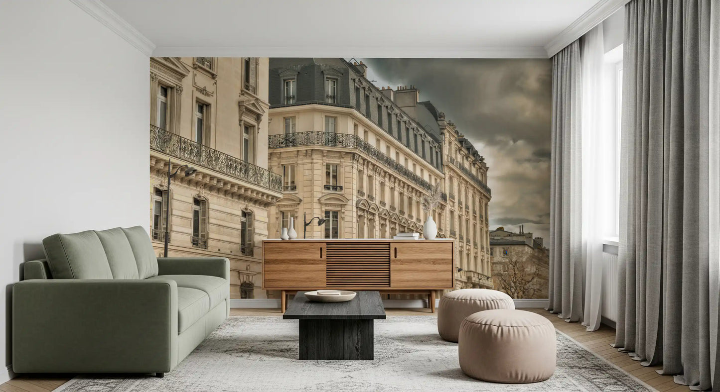 Mansard rooftops, chimneys, and tall arched windows fill a Haussmann wall mural close shot.