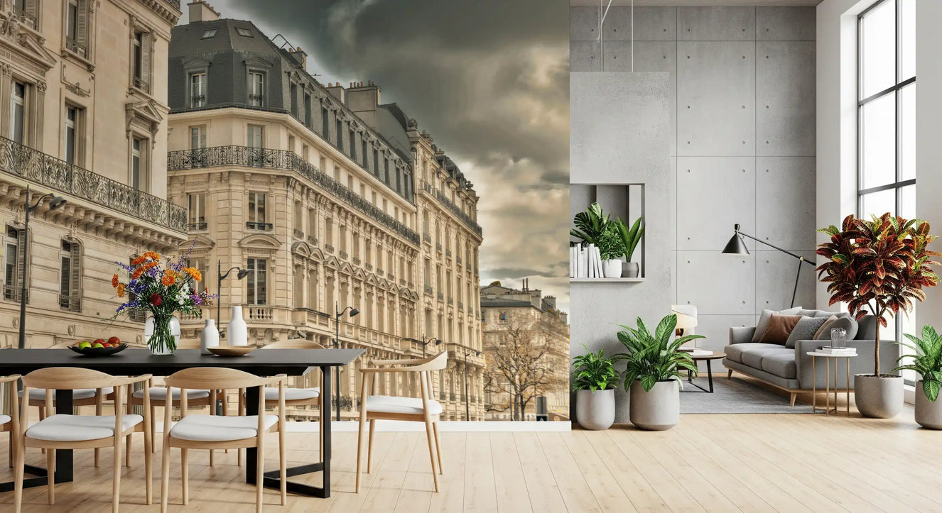 Parisian Facades & Dramatic Skies Wall Mural