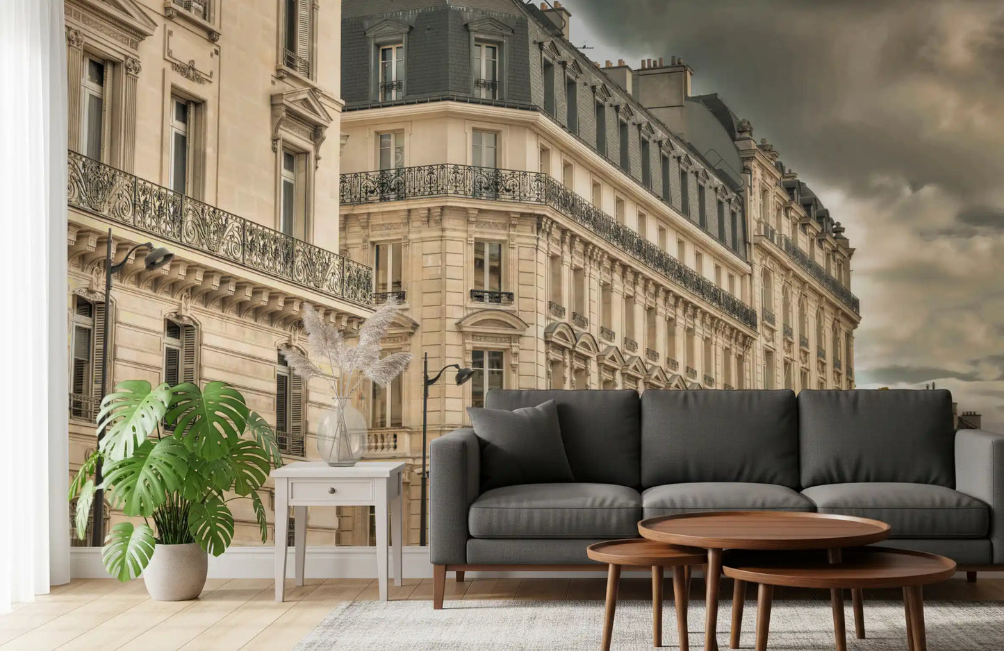Bare trees and streetlamps edge the avenue in a Parisian cityscape wall mural detail.