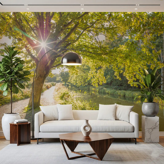 Sunlit Woodland Canal wall mural opens the living room with oak-tree canopy light.