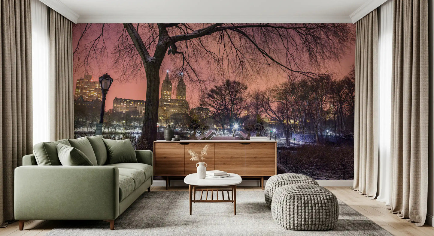 Tapet mural Central Park în amurg de iarnă