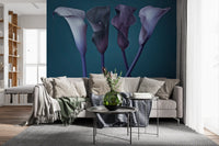 Twilight Petal Dance wall mural shows plum and silver calla flowers