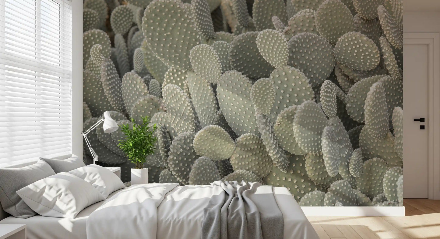 Tapet mural cu fundal de cactuși